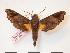  ( - PD-BC 301)  @12 [ ] Copyright (2010) Unspecified Research Collection of Philippe Darge