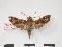  ( - PD-BC 317.1)  @11 [ ] Copyright (2010) Unspecified Research Collection of Philippe Darge
