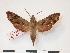  ( - PD-BC 320)  @13 [ ] Copyright (2010) Unspecified Research Collection of Philippe Darge