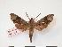  ( - PD-BC 324)  @13 [ ] Copyright (2010) Unspecified Research Collection of Philippe Darge