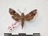  ( - PD-BC 326)  @13 [ ] Copyright (2010) Unspecified Research Collection of Philippe Darge