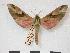  ( - PD-BC 045)  @13 [ ] Copyright (2010) Unspecified Research Collection of Philippe Darge