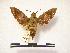  ( - PD-BC 397)  @14 [ ] Copyright (2010) Unspecified Research Collection of Philippe Darge