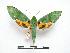  ( - PD-BC 415)  @14 [ ] Copyright (2010) Unspecified Research Collection of Philippe Darge