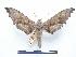  ( - PD-BC 456)  @14 [ ] Copyright (2010) Unspecified Research Collection of Philippe Darge
