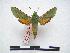  ( - PD-BC 462)  @13 [ ] Copyright (2010) Unspecified Research Collection of Philippe Darge