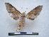  ( - PD-BC 495)  @12 [ ] Copyright (2010) Unspecified Research Collection of Philippe Darge