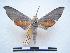  ( - PD-BC 511)  @13 [ ] Copyright (2010) Unspecified Research Collection of Philippe Darge