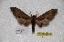  ( - BC-RBP-0140)  @12 [ ] Copyright (2010) Unspecified Research Collection of Ron Brechlin