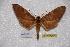  ( - BC-RBP-0170)  @14 [ ] Copyright (2010) Unspecified Research Collection of Ron Brechlin