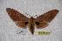  ( - BC-RBP-0172)  @14 [ ] Copyright (2010) Unspecified Research Collection of Ron Brechlin