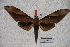  ( - BC-RBP-0476)  @12 [ ] Copyright (2010) Unspecified Research Collection of Ron Brechlin