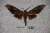  ( - BC-RBP-0985)  @12 [ ] Copyright (2010) Unspecified Research Collection of Ron Brechlin