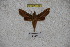  ( - BC-RBP-1142)  @11 [ ] Copyright (2010) Unspecified Research Collection of Ron Brechlin