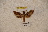  ( - BC-RBP-1175)  @12 [ ] Copyright (2010) Unspecified Research Collection of Ron Brechlin