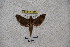  ( - BC-RBP-1176)  @12 [ ] Copyright (2010) Unspecified Research Collection of Ron Brechlin