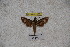  ( - BC-RBP-1186)  @12 [ ] Copyright (2010) Unspecified Research Collection of Ron Brechlin