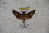  ( - BC-RBP-1191)  @12 [ ] Copyright (2010) Unspecified Research Collection of Ron Brechlin