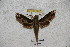  ( - BC-RBP-1207)  @13 [ ] Copyright (2010) Unspecified Research Collection of Ron Brechlin
