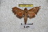  ( - BC-RBP-1254)  @13 [ ] Copyright (2010) Unspecified Research Collection of Ron Brechlin