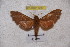  ( - BC-RBP-1257)  @12 [ ] Copyright (2010) Unspecified Research Collection of Ron Brechlin