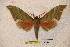  ( - BC-RBP-1296)  @12 [ ] Copyright (2010) Unspecified Research Collection of Ron Brechlin