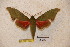  ( - BC-RBP-1297)  @12 [ ] Copyright (2010) Unspecified Research Collection of Ron Brechlin