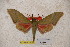  ( - BC-RBP-1302)  @14 [ ] Copyright (2010) Unspecified Research Collection of Ron Brechlin