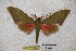  ( - BC-RBP-1303)  @12 [ ] Copyright (2010) Unspecified Research Collection of Ron Brechlin