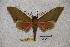  ( - BC-RBP-1304)  @13 [ ] Copyright (2010) Unspecified Research Collection of Ron Brechlin