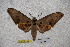  ( - BC-RBP-1481)  @13 [ ] Copyright (2010) Unspecified Research Collection of Ron Brechlin