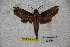  ( - BC-RBP-1482)  @13 [ ] Copyright (2010) Unspecified Research Collection of Ron Brechlin