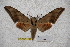  ( - BC-RBP-1723)  @13 [ ] Copyright (2010) Unspecified Research Collection of Ron Brechlin