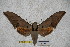 ( - BC-RBP-1742)  @12 [ ] Copyright (2010) Unspecified Research Collection of Ron Brechlin