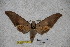  ( - BC-RBP-1751)  @12 [ ] Copyright (2010) Unspecified Research Collection of Ron Brechlin