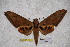  ( - BC-RBP-1761)  @14 [ ] Copyright (2010) Unspecified Research Collection of Ron Brechlin