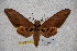  ( - BC-RBP-1762)  @14 [ ] Copyright (2010) Unspecified Research Collection of Ron Brechlin