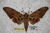  ( - BC-RBP-1766)  @14 [ ] Copyright (2010) Unspecified Research Collection of Ron Brechlin