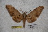  ( - BC-RBP-1772)  @13 [ ] Copyright (2010) Unspecified Research Collection of Ron Brechlin