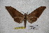  ( - BC-RBP-1787)  @12 [ ] Copyright (2010) Unspecified Research Collection of Ron Brechlin