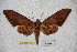  ( - BC-RBP-1812)  @14 [ ] Copyright (2010) Unspecified Research Collection of Ron Brechlin