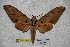  ( - BC-RBP-1824)  @13 [ ] Copyright (2010) Unspecified Research Collection of Ron Brechlin