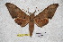  ( - BC-RBP-1849)  @13 [ ] Copyright (2010) Unspecified Research Collection of Ron Brechlin