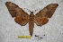  ( - BC-RBP-1851)  @13 [ ] Copyright (2010) Unspecified Research Collection of Ron Brechlin
