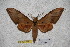  ( - BC-RBP-1852)  @12 [ ] Copyright (2010) Unspecified Research Collection of Ron Brechlin