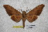  ( - BC-RBP-1853)  @12 [ ] Copyright (2010) Unspecified Research Collection of Ron Brechlin