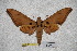  ( - BC-RBP-1858)  @13 [ ] Copyright (2010) Unspecified Research Collection of Ron Brechlin