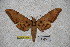  ( - BC-RBP-1859)  @13 [ ] Copyright (2010) Unspecified Research Collection of Ron Brechlin