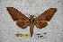  ( - BC-RBP-1865)  @13 [ ] Copyright (2010) Unspecified Research Collection of Ron Brechlin