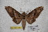  ( - BC-RBP-1882)  @12 [ ] Copyright (2010) Unspecified Research Collection of Ron Brechlin